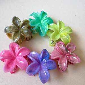 May include: Six flower-shaped hair clips in various colors: brown, green, yellow, pink, purple, and red. Each clip has a claw-style grip. The clips are made of a translucent material.