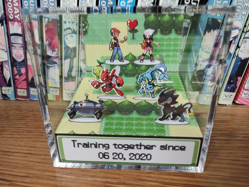Classic green themed background. 2 Pokemon trainers in the back. There are 3 pokemon in front of each, for you to choose, a total of 6 Pokemon. At the front of the Pokemon is the anniversary/valentines date choosen. Pokemon anniversary/valentines!