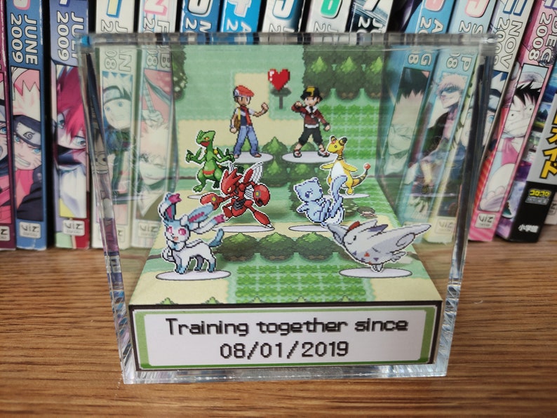 Classic green themed background. 2 Pokemon trainers in the back. There are 3 pokemon in front of each, for you to choose, a total of 6 Pokemon. At the front of the Pokemon is the anniversary/valentines date choosen. Pokemon anniversary/valentines!
