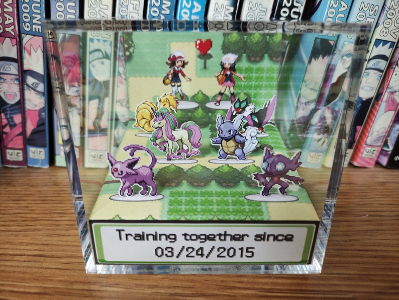 Classic green themed background. 2 Pokemon trainers in the back. There are 3 pokemon in front of each, for you to choose, a total of 6 Pokemon. At the front of the Pokemon is the anniversary/valentines date choosen. Pokemon anniversary/valentines!