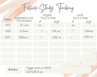 Follicle Study Printable, Tracker, Worksheet, Fertility Treatments, IUI, Medicated Cycle, IVF, Medication Tracker, Instant Download