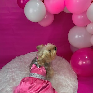 Luna Pink Dress - Dog Costume / Cat Costume - Pink Dress