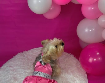 Luna Pink Dress - Dog Costume / Cat Costume - Pink Dress