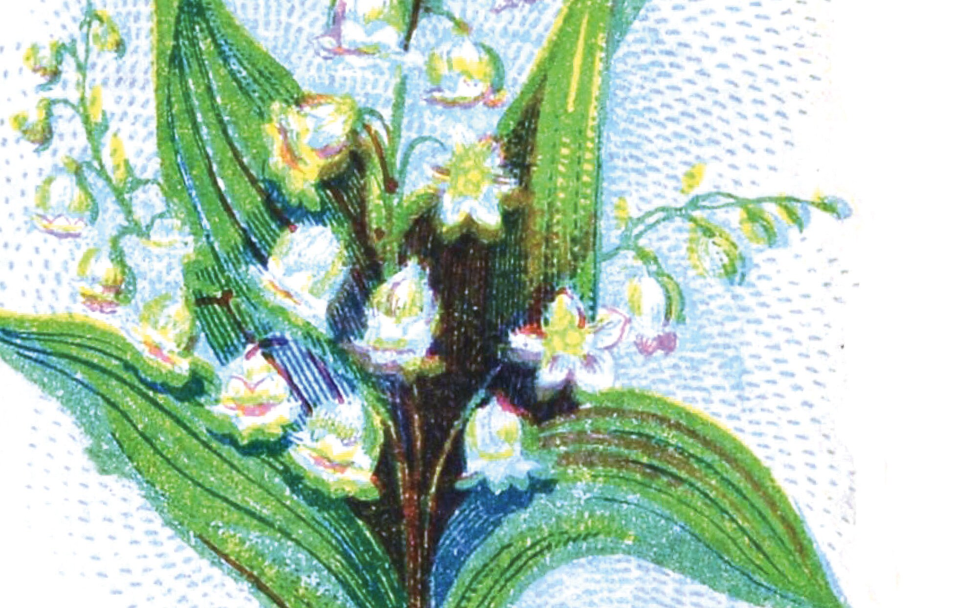 Flower Wall Art Instant Download Digital Printable | Etsy