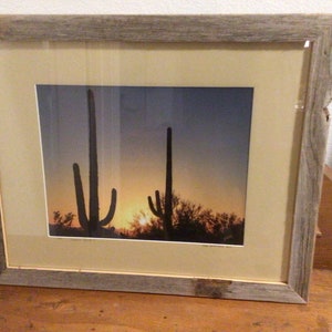 Original Photograph by California Photographer Mark Hampshire Saguaro Cactus