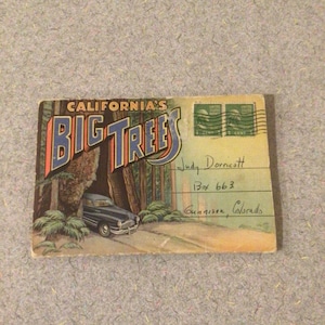 1960s California’s Big Trees Folding Souvenir Postcard