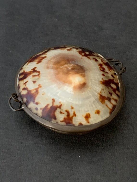 Shell Shaped Purse : r/whatsthisworth