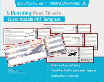 Printable Boarding Pass Ticket: Editable Airplane Gift (PDF Download)