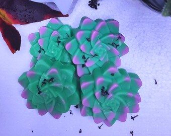 4 Large Wax melt Succulent Bundle | Luxury | Highly Scented