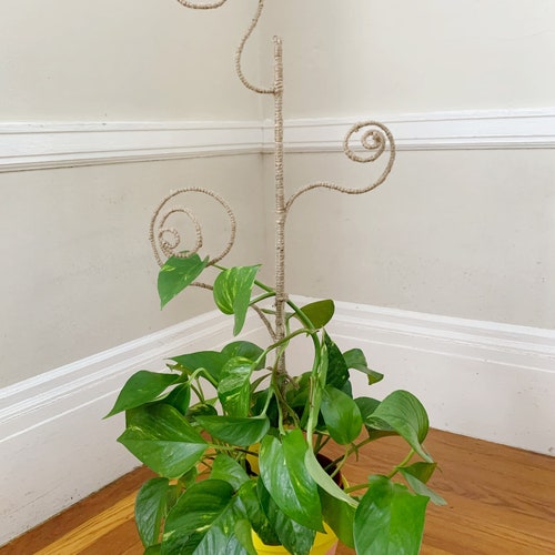 24 in Jute Twine & Bamboo Spiral Plant Trellis for house plants