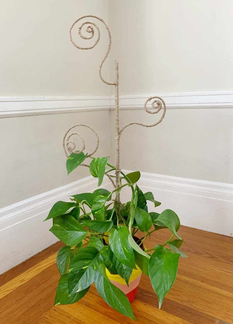 24 in Jute Twine & Bamboo Spiral Plant Trellis for House Plants Etsy