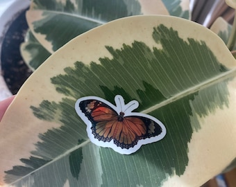 Butterfly Sticker