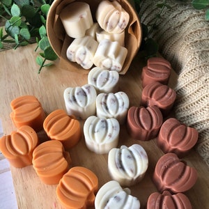 60+ Scents | Fall Wax Melts | Pumpkin Shaped Soy Wax Melts For Warmer | Clamshell Wax Melts