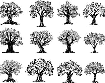 Download Big Tree Svg Etsy