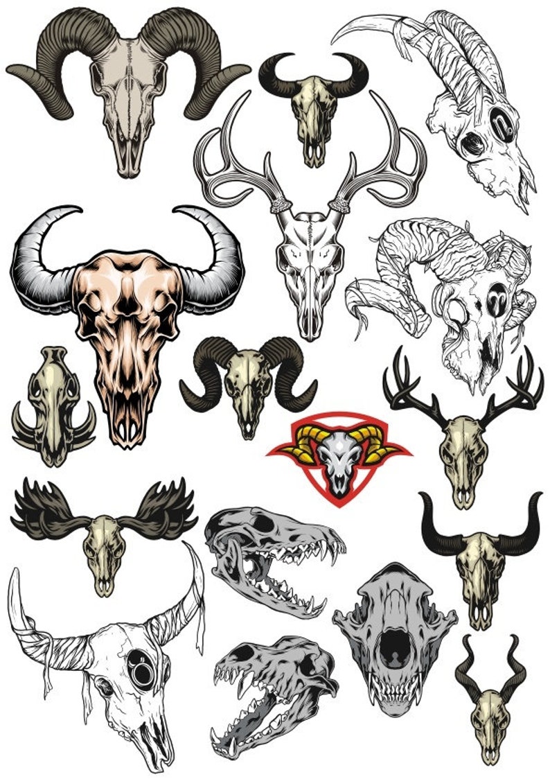 Animal Skull Svg,Bull skull,vector art Drawing & Illustration Art & Collectibles Animal Skull Svg,Bull skull,vector art Drawing & Illustration Art & Collectibles