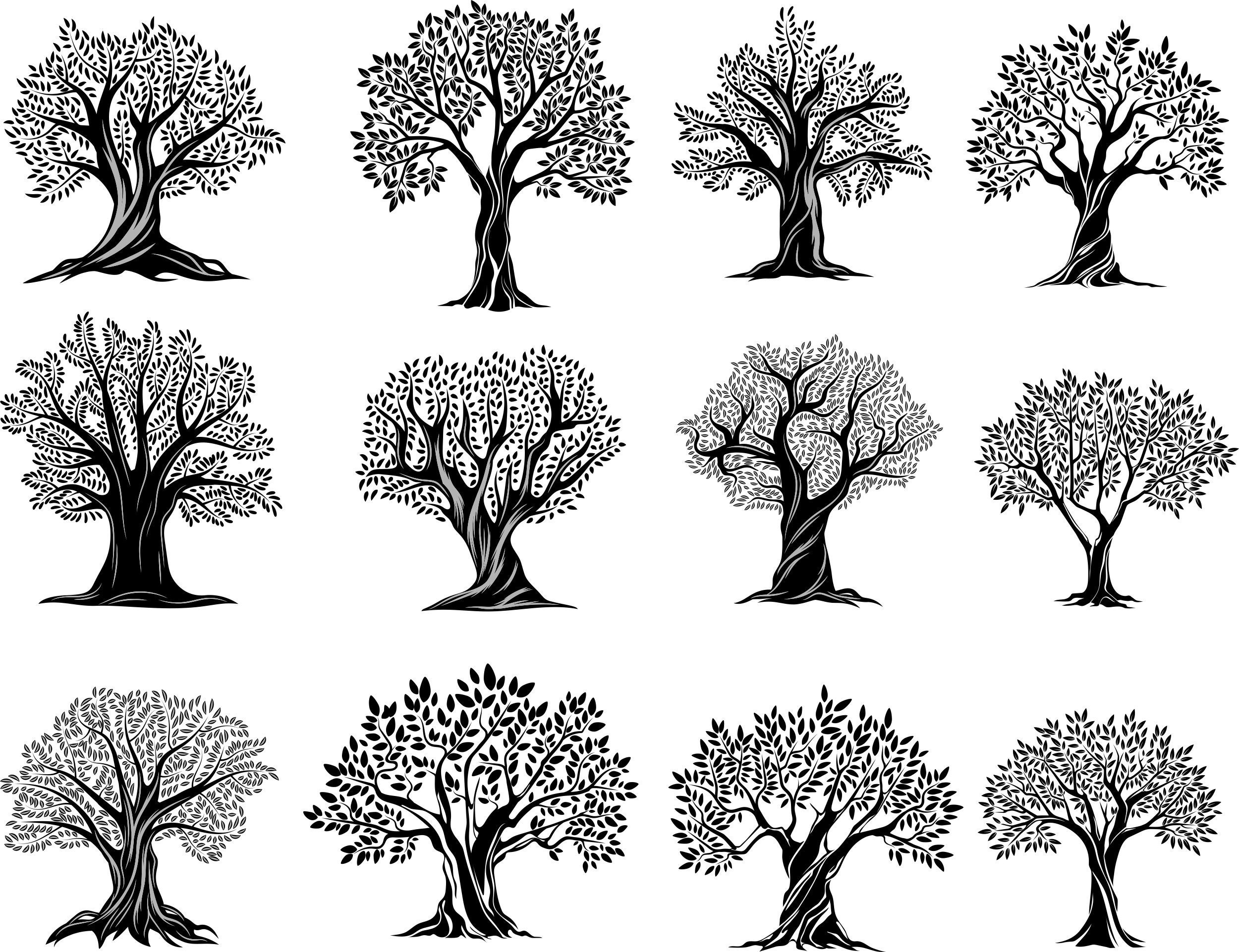 Big Tree Silhouette, Big Tree SVG, Big Tree PNG, tree svg, tree silho…