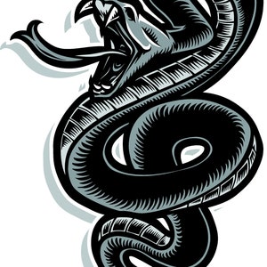 Vintage Rattlesnake svgSnake IllustrationSnake vectorCobra | Etsy