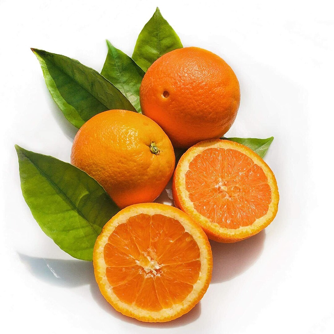 Fresh Oranges, NAVEL or VALENCIA Citrus Fruit 1 2 5 10 15 Pound Boxes usa Grown Nongmo for Home