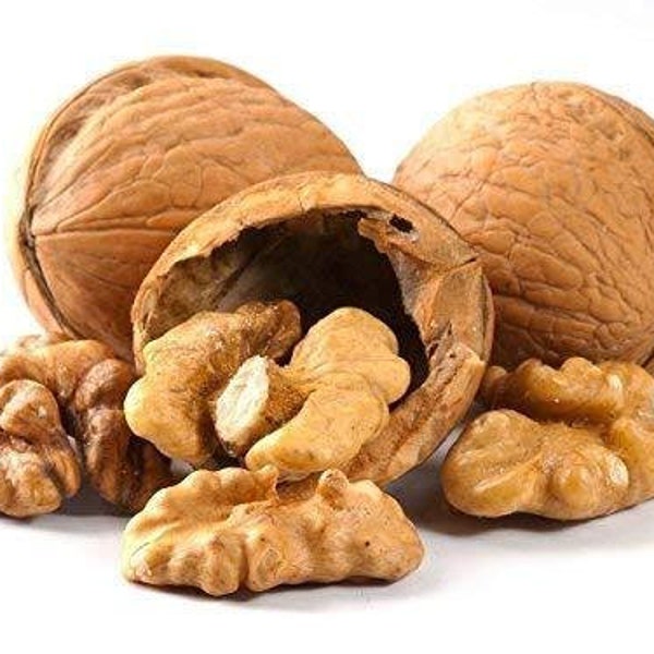 In-Shell Walnuts Whole ~Northern California Grown~Fresh CROP~Wholesale Nuts *Bulk Size Lots* 1-20+ LBS (Pounds) FREE Ship for Pantry Diner
