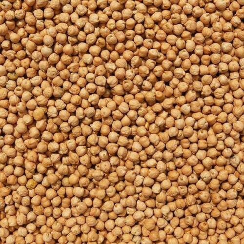 Dried Chick Peas Garbanzo Beans Wholesalebulk Size Lots 2 4 Etsy
