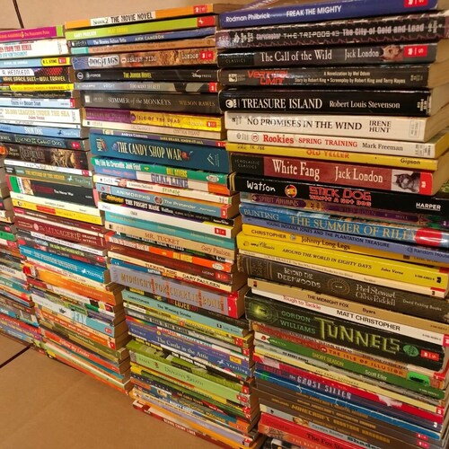 Lot of 20 Chapter All Scholastic Children Young Youth Random Etsy