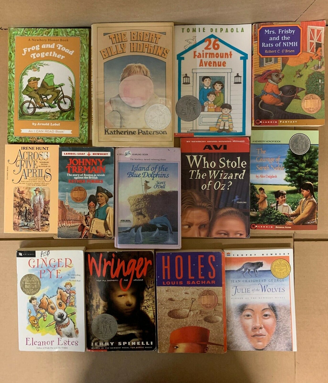 Lot of 15 Newbery Honor Award Winning Chapter Children Kid Etsy