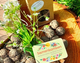 Samenbomben Weisser Traum, Blumenmurmeln, Seedballs,Wildblumensaatgut