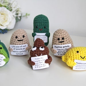 Personalised Brighten Your Day Gifts, Crochet Ornaments Fruits and Vegetables, Emotional Support Amigurumi Gifts