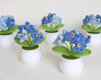 Crochet Forget Me Not in Pot, Handmade Flowers Gift, Home Decor
