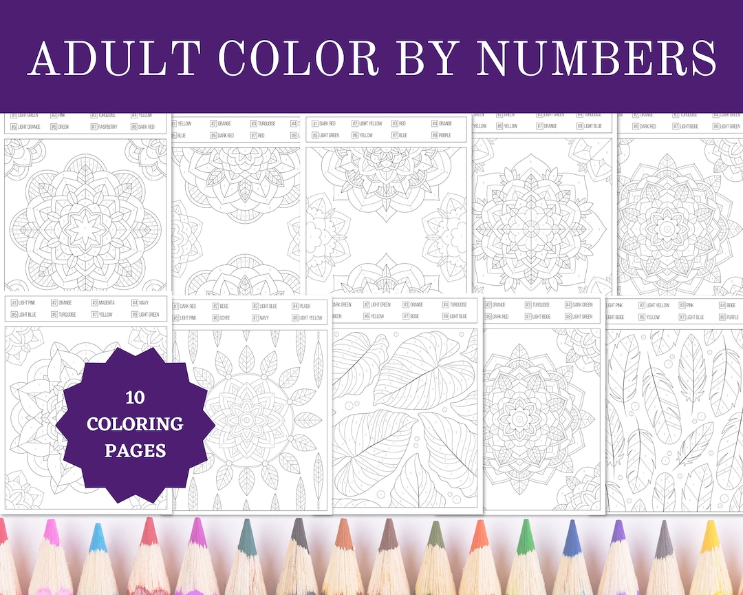 Printable Adult Color by Numbers Coloring Pages 8.5x11 Sheets