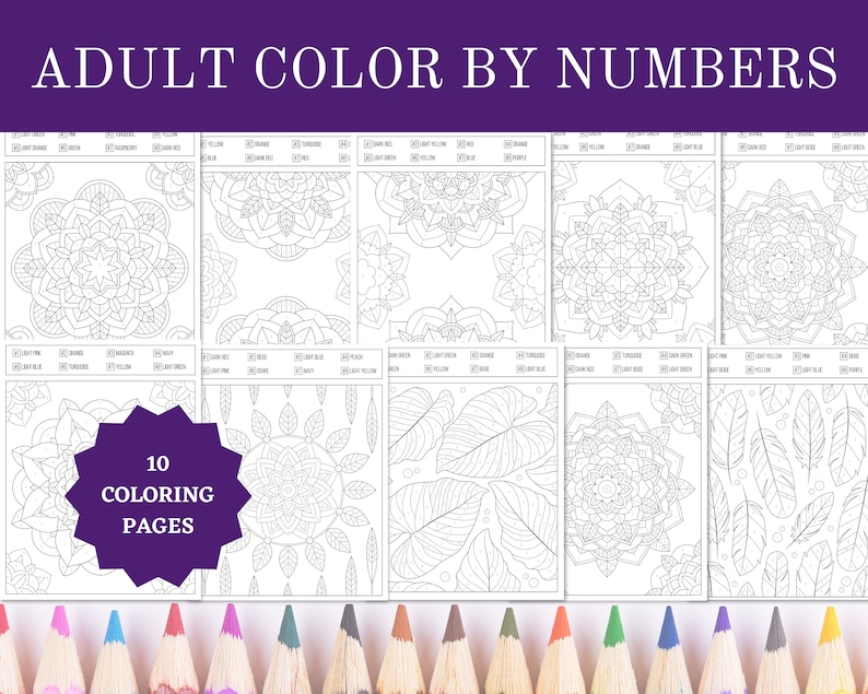 Printable Adult Color by Numbers Coloring Pages 8.5x11 Sheets Digital