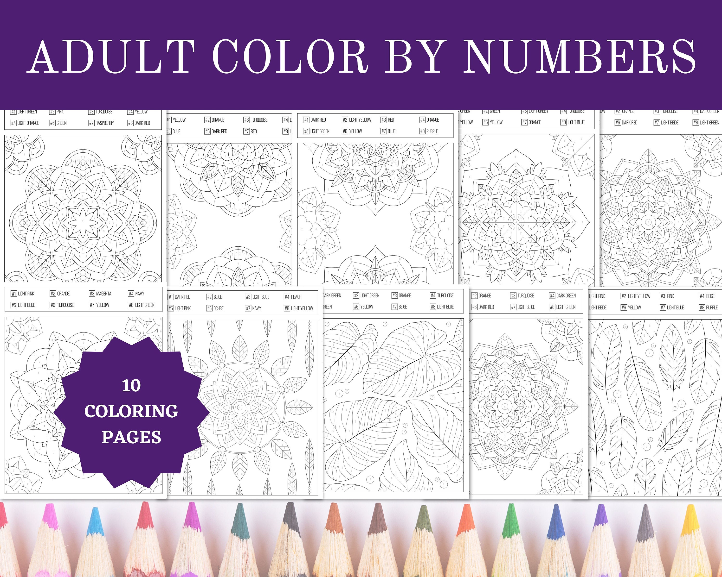 Printable Adult Color by Numbers Coloring Pages 8.5x11 Sheets Digital  Instant PDF Download 