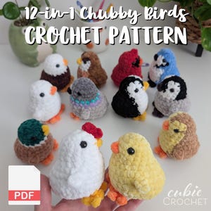Modèle de crochet sans couture Chubby Birds (PDF 12 en 1) | Instructions uniquement