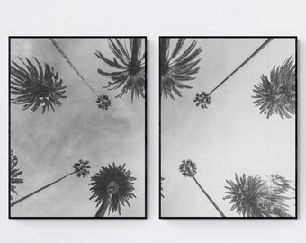 Impresión de palmeras en blanco y negro, impresión de árboles tropicales en blanco y negro, arte de pared de 2 piezas, arte de pared de palmeras, foto de palmera, decoración tropical