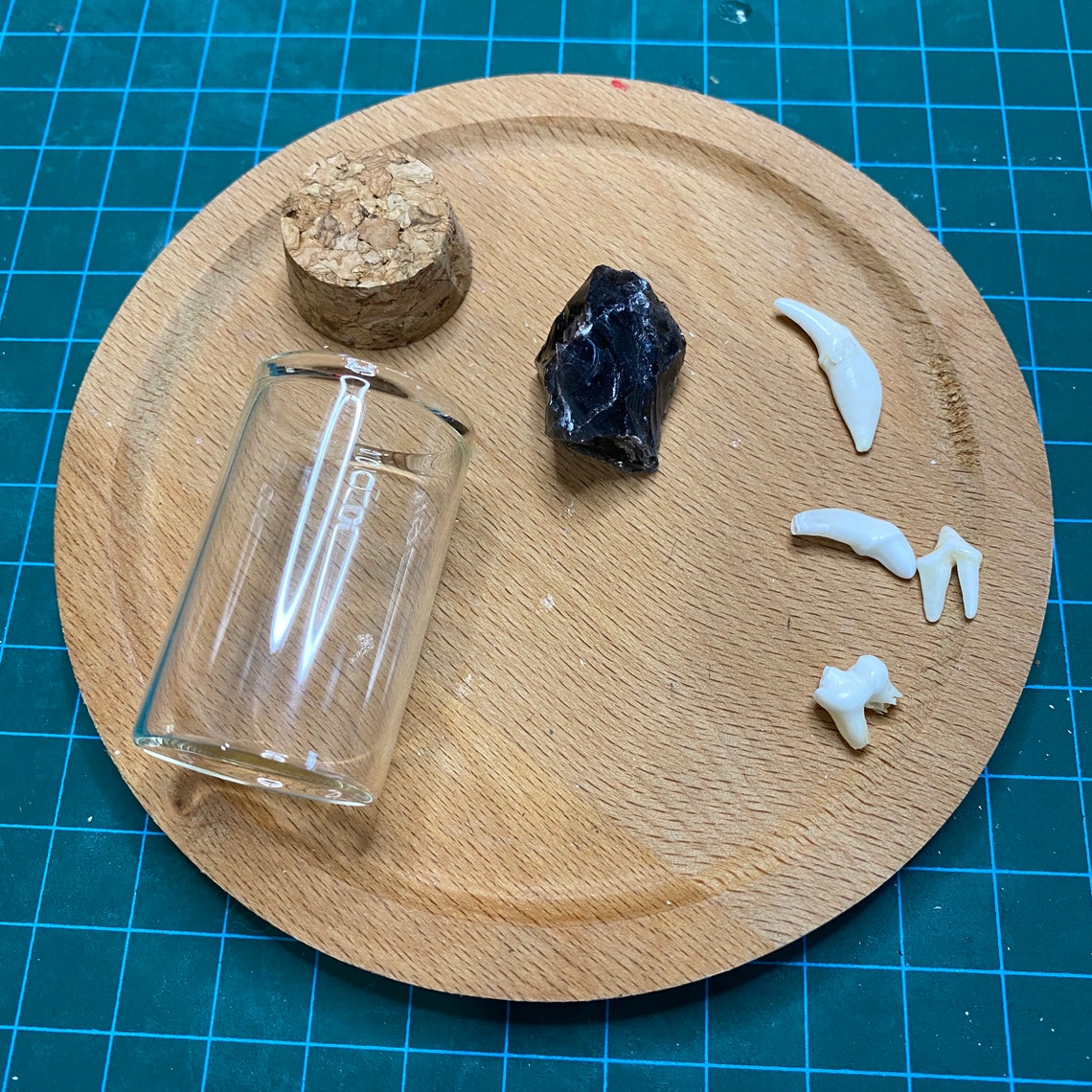 Real animal bone bottlesSpell jar taxidermy bottles with raw Etsy