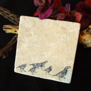Quail Covey on Marble Tile Coaster, Natural Stone Wildlife Coaster Sets