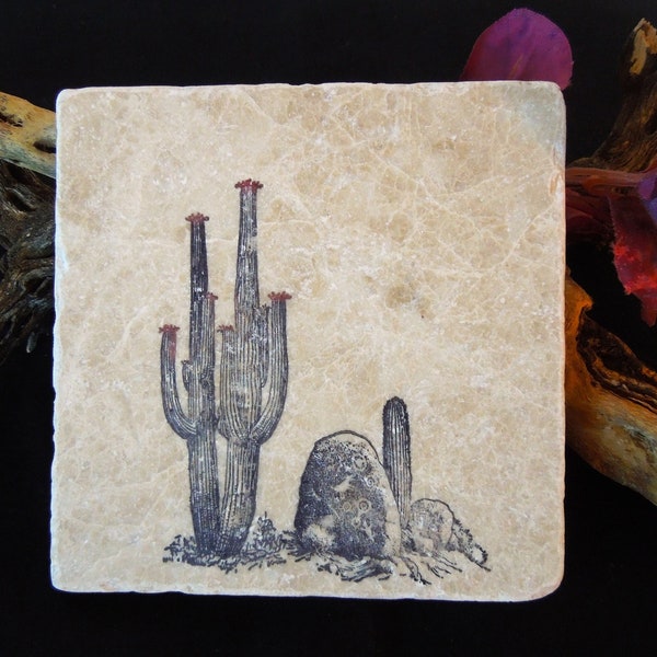Saguaro Cactus During Springtime In the Sonoran Desert on Marble Tile Coaster, Natural Stone Coaster Sets