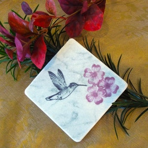 Hummingbird and Flower Blossoms on Antique White Style Marble, Wildlife Natural Stone Coaster Sets