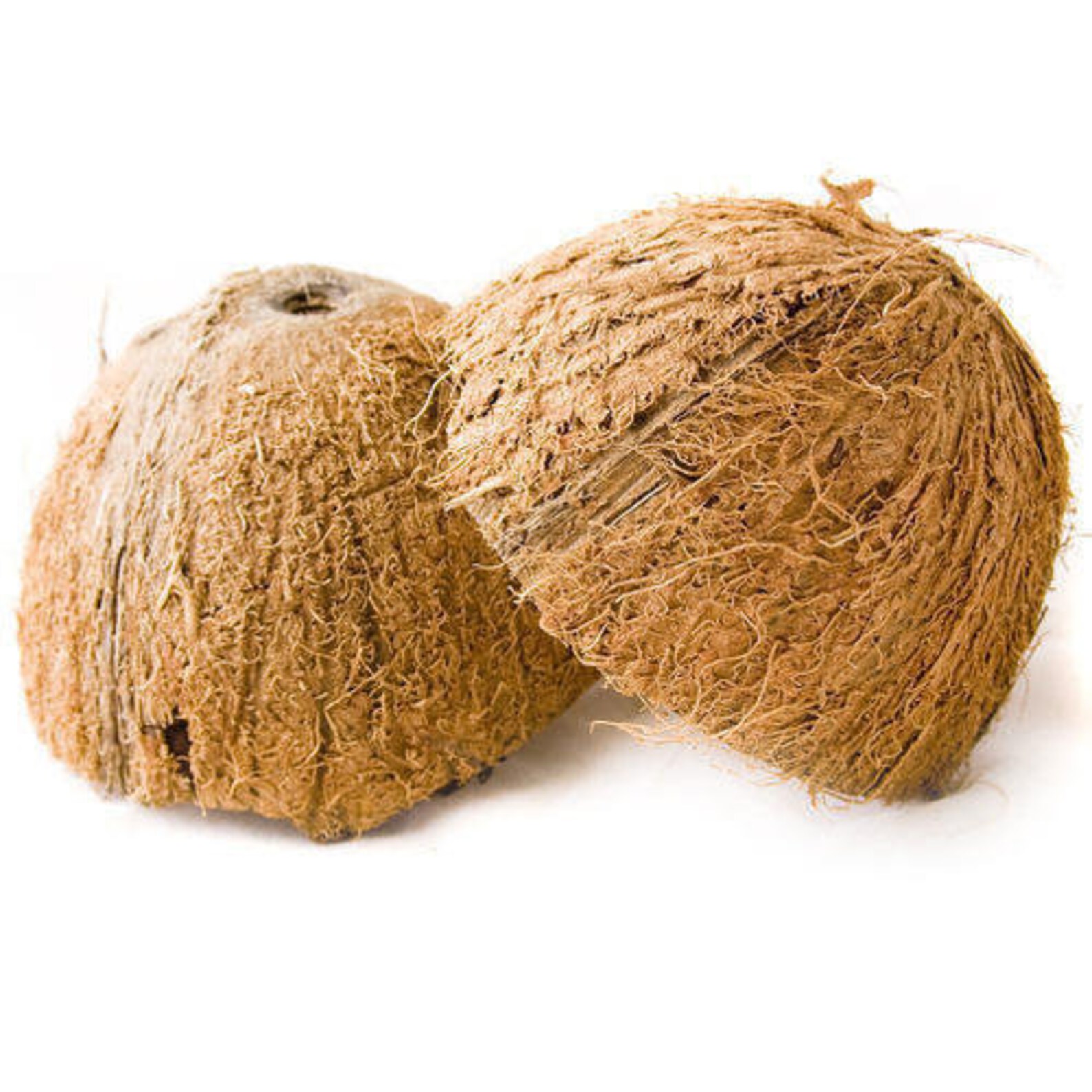 4 Pièces coque de noix de coco écologique moitié 100 bio Etsy France 4 Pièces coque de noix de coco écologique moitié 100 bio Etsy France