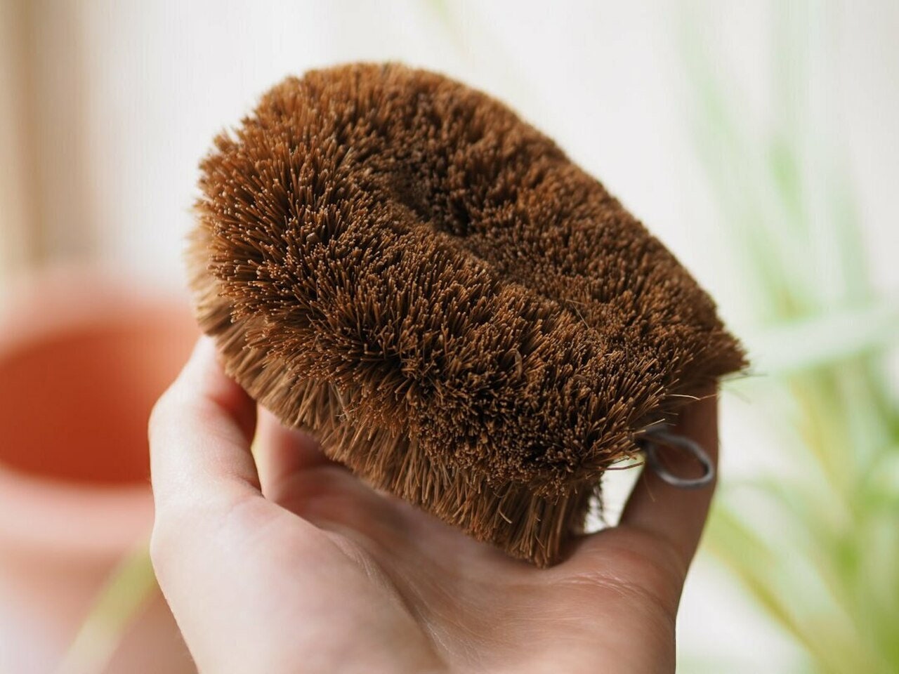 Coconut Coir Fiber Brush Withing Two Types for Easy Your Etsy UK