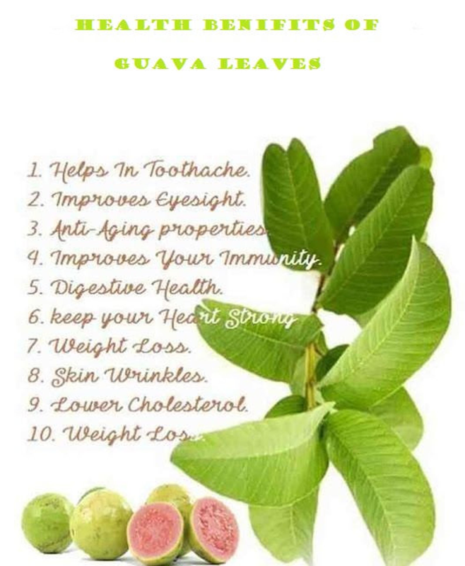 Organic Dried Guava Leaves for tea 30g Etsy