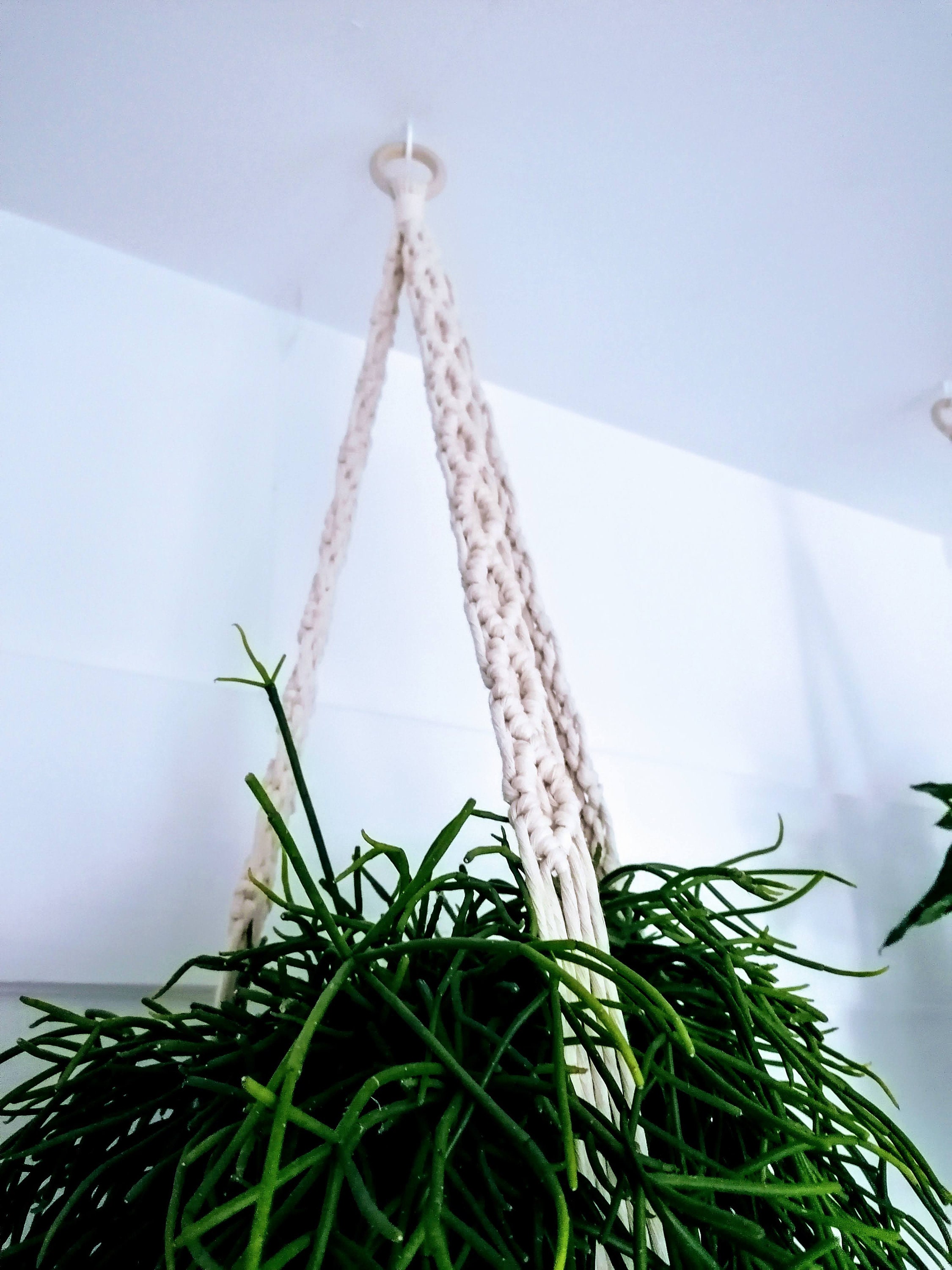 Colgador de planta extra grande con bandeja de madera | Etsy