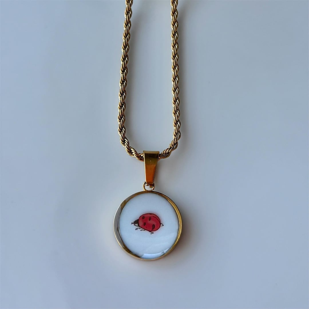 Ladybug Necklace | Peter Rabbit | Handmade Broken China Jewelry - Etsy
