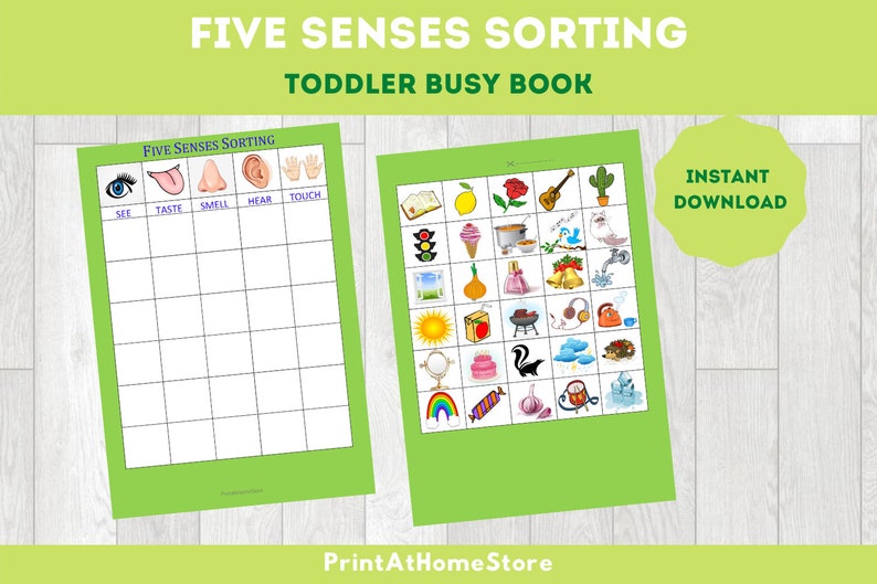 five senses worksheetstoddler busy book pdf pages etsy