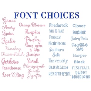 May include: A list of font choices for embroidery designs. The fonts are displayed in pink and blue, with the title "FONT CHOICES" in blue.