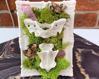 Achse Wirbel Etsy