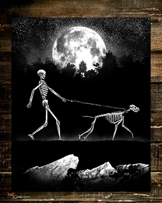  Crazy Bonez Skeleton Dog - Bonez The Dog : Home & Kitchen