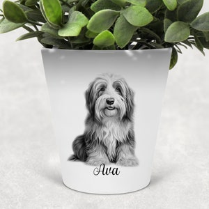 Sketched Bearded Collie Printed Plant Pot | Dog Pen Pot / Makeup Brushes Holder | Perfect Gift for Bearded Collie Lovers & Dog Enthusiasts