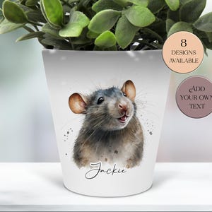 May include: White ceramic plant pot with a watercolour illustration of a rat, and the name "Jackie" in script. The pot has a light grey and brown colour scheme. The image also includes text that says "8 designs available" and "Add your own text".
