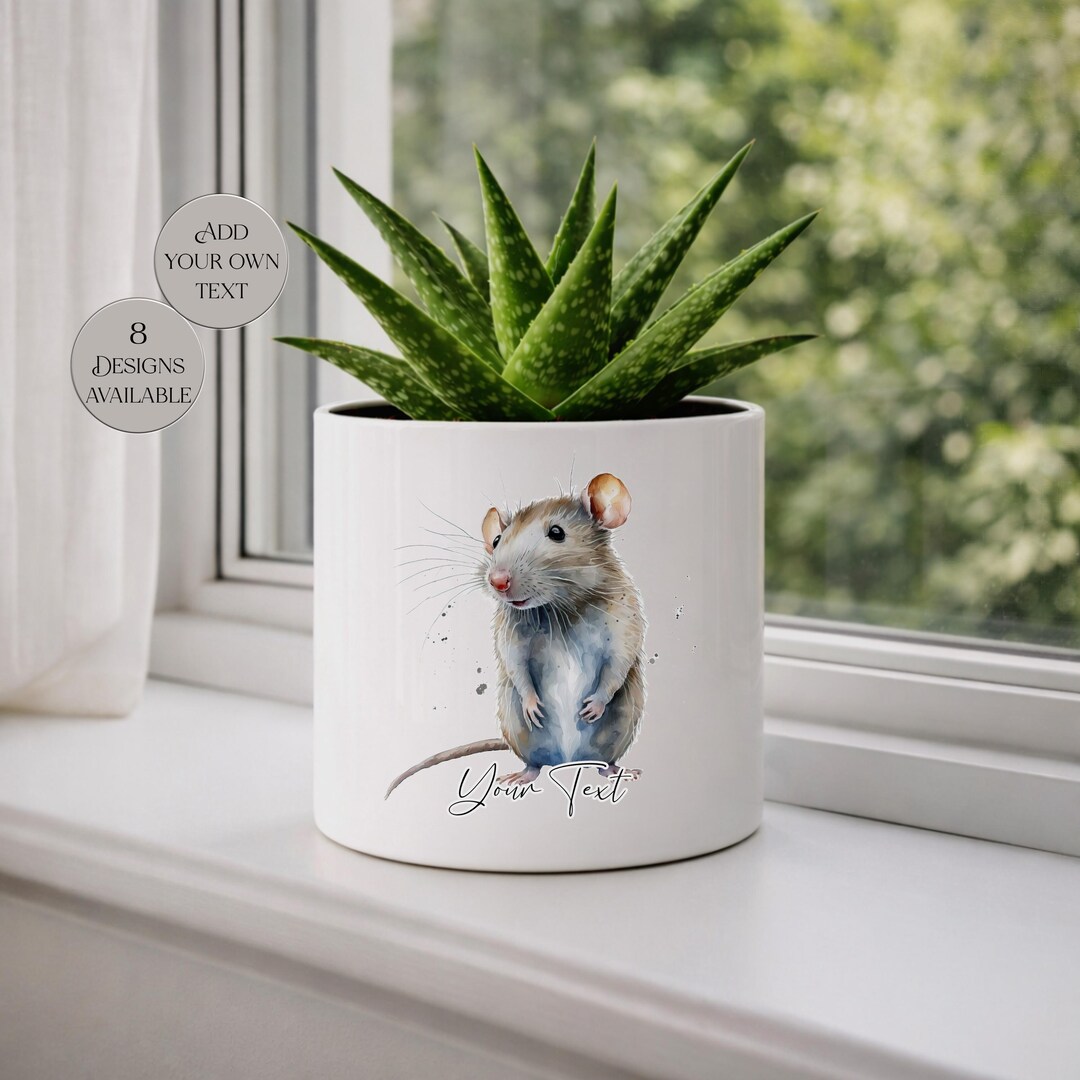 Personalized Rat Plant Pot | Small Animal Gift | Succulent Planter ...